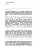 ¿Por que los sistemas de informacion son importante en el sector salud?