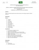 PRACTICA No. 04 ELABORACIÓN Y APLICACIÓN DE INSECTICIDAS ORGÁNICOS