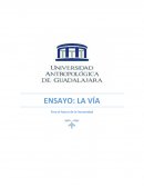 ENSAYO LA VIA DE MORIN Para el futuro de la humanidad