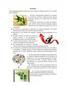 ¿Qué estrategias podemos utilizar para hacer triunfar el shampoo Gai Joc en un mercado tan competitivo?