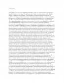 Derechos humanos Introducción