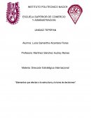 Elementos que afectan a la estructura y a la toma de desiciones