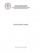 OPCIONES FINANCIERAS Y WARRANTS