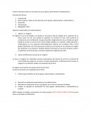 Informe Individual sobre los tres tipos de rocas: Ígneas, Sedimentarias y Metamórficas