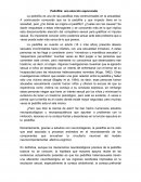 Pedofilia: una elección equivocada