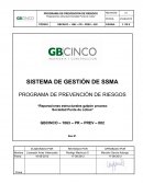 PROGRAMA DE PREVENCIÓN DE RIESGOS “Reparaciones estructurales galpón proceso Sociedad Punta de Lobos”