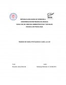 RASGOS DE DUELO PATOLOGICO: CASO J.A.C.M