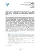 Turismo en el medio ambiente