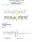 VALORACION POR PATRONES DE RESPUESTAS HUMANAS
