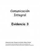 Comunicación Integral Evidencia 3 Introducción sobre “Drogas en los jóvenes” (Marco Teórico)