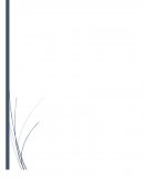 CUANTOS PROCESOS DOCUMENTADOS PIDE LA NORMA DE ISO 9001 VERSION 2008