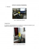 EXTRACTO CASCARA DE MANDARINA