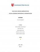 INFORME “LAS 7S DE MCKINSEY”