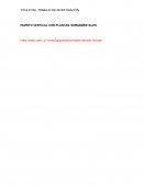 HUERTO VERTICAL CON PLANTAS HORNAMENTALES