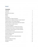 Surgimiento De Los Programas Educativos