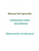 Manual del aprendiz liderazgo para seguridad