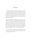 La Agricultura, Ganadería y todas las ocupaciones del campo en el área rural son vitales para el desarrollo de los países del mundo