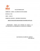 Ensayo de mi postura en cuanto a la aplicabilidad de las herramientas de Google en tu empresa