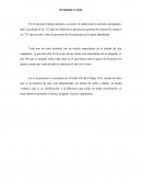 El análisis de los artículos designados