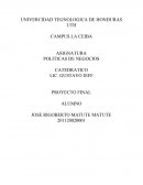 POLITICAS DE NEGOCIOS. PROYECTO FINAL