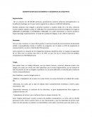 SEGMENTACION SOCIO ECONOMICA Y GEOGRAFICA DE COOLPANTS