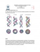 ESTRUCTURAS DEL ADN A, B, Z, H