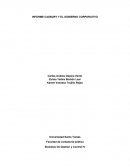 INFORME CADBURY Y EL GOBIERNO CORPORATIVO