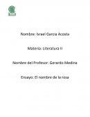 Ensayo: El nombre de la rosa