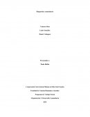 Organización Y Desarrollo Comunitario