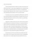 Sobre “Del otro lado del jardín”