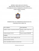 INFORME DE PRACTICAS PROFESIONALES REALIZADA EN EL COMANDO DE ZONA 62 BOLIVAR