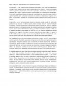 Papel e influencia de la naturaleza en la vida del ser humano.