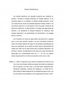 Plantas Hidroeléctricas. Las principales Centrales Hidroeléctricas