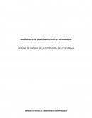 INFORME DE SÍNTESIS DE LA EXPERIENCIA DE APRENDIZAJE