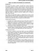 PERFIL DE COMPRA POR INTERNET DE LOS PERUANOS