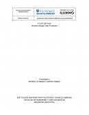 Desarrollar y analizar un ejercicio de flujo de caja proyectado a 5 años como proyecto de aplicación
