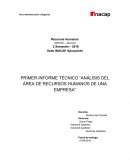 PRIMER INFORME TÉCNICO “ANÁLISIS DEL ÁREA DE RECURSOS HUMANOS DE UNA EMPRESA”