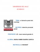 El Derecho Penal del Enemigo. EL PLANTEAMIENTO DE GÜNTHER JAKOBS