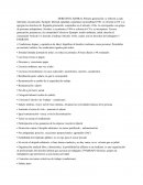 DERECHO LABORAL Primera generación: se refieren a cada individuo en particular