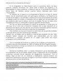 Historia de los contenedores de basura