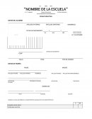 QUE ES UNA FICHA EVOLUTIVA