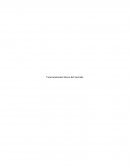 Funcionamiento básico del mercado