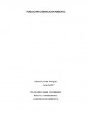 EVALUACION DE TIPO DIAGNOSTICA DE LA ESTRATEGIA DE COMUNICACIÓN