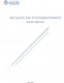 Trabajo de Plaguicidas