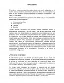 BAMBU YS US TIPOLOGIAS