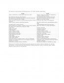 DIFERENCIAS ENTRE LIDER Y JEFE