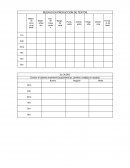 REZAGO EN PRODUCCIÓN DE TEXTOS