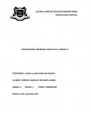 Deontologia. DEBERES PROFESIONALES DEL PERITO