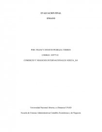 Ensayo COMERCIO Y NEGOCIOS INTERNACIONALES. Página 1