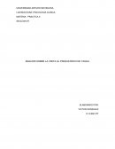 ANALISIS SOBRE LA VISITA AL PSIQUIATRICO DE YAGUA
